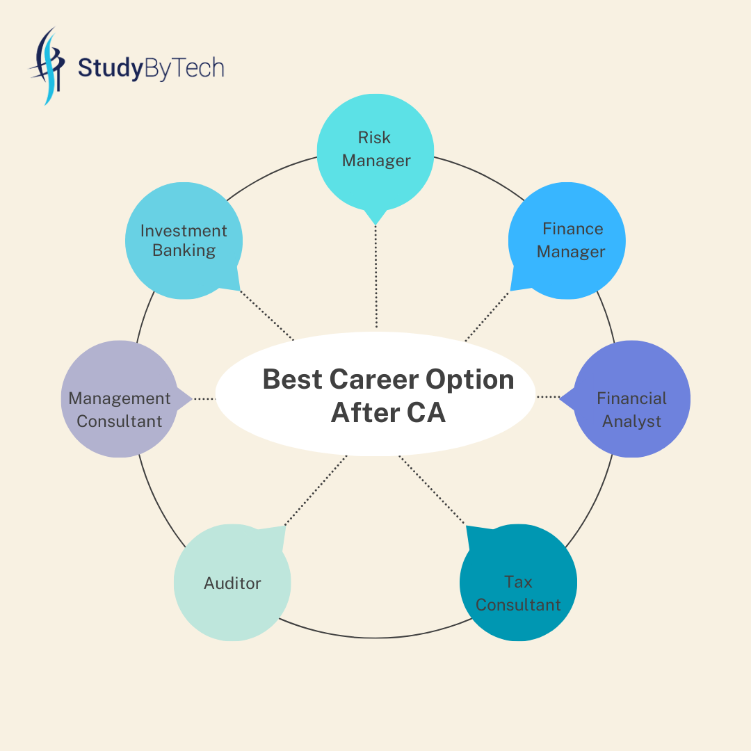 The Best Career Option After CA?